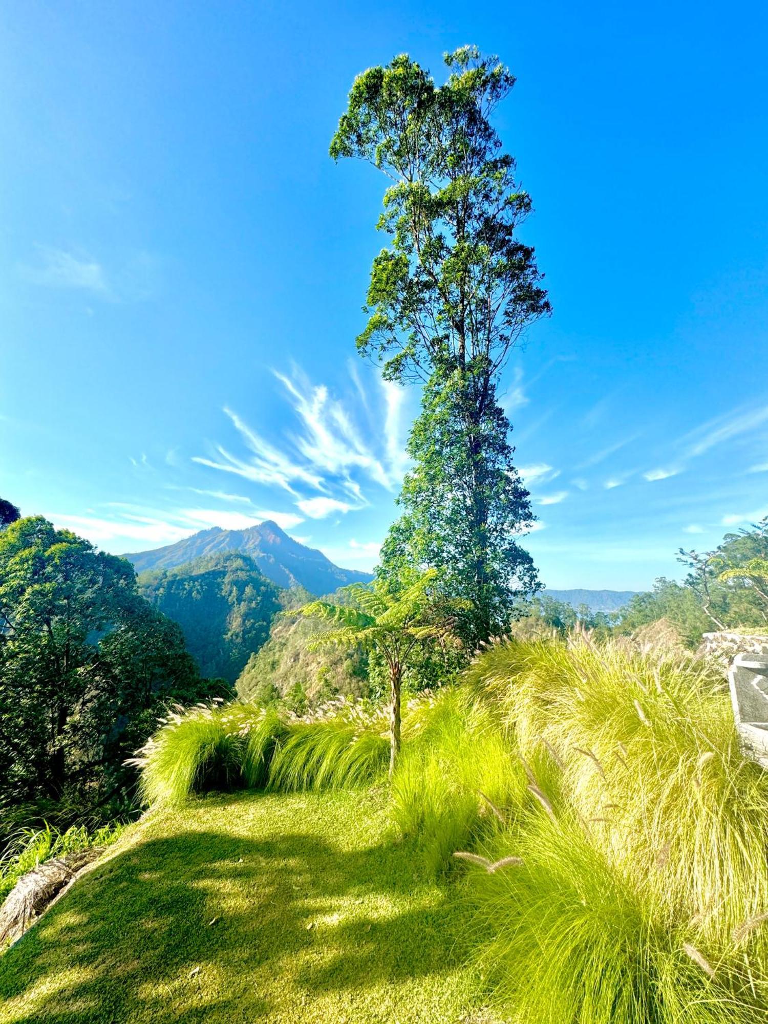 Alengkong Bali Camp Hotell Bangli Exteriör bild